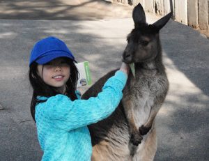 joanna with kangaroo