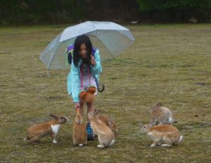 Even more Japan bunnies